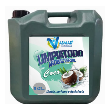 Limpiatodo Aroma Variado X Bidon Vasmad